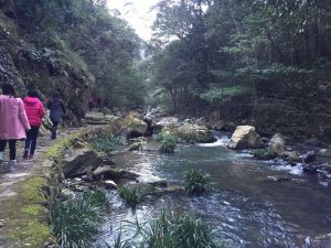 三疊井森林公園