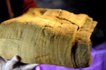 掛在陽光上的袈裟