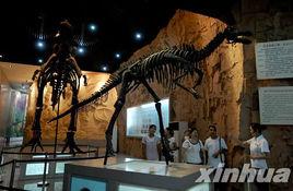 南陽恐龍蛋化石 南陽恐龍蛋化石