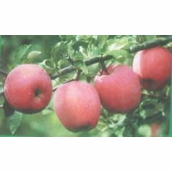 王哥莊街道辦事處