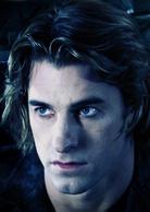 狼人[美國2003年倫·懷斯曼執導動作電影]