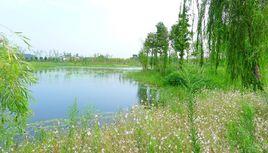 鹽城大洋灣旅遊風景區 鹽城大洋灣旅遊風景區