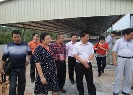 深圳市民政局 深圳市民政局