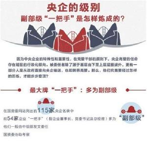 副部級央企 副部級央企