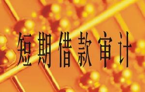 短期借款審計
