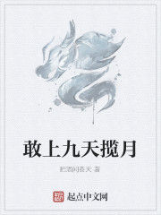 敢上九天攬月