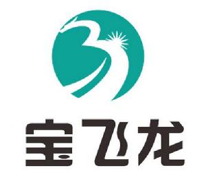 寶飛龍 寶飛龍