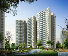 金田花園花域 金田花園花域