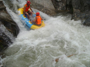 遊樂團購網 遊樂團購網