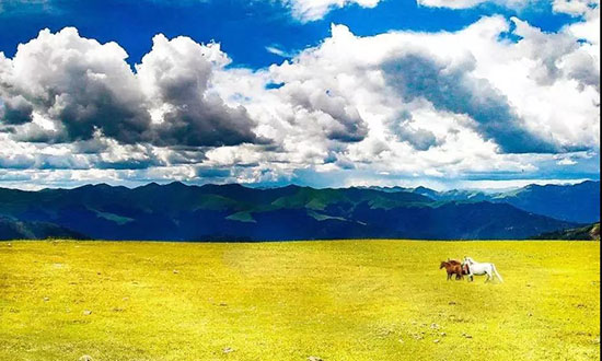 9月,老子不上班,請假去稻城!