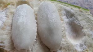 冰淇淋樹 冰淇淋樹