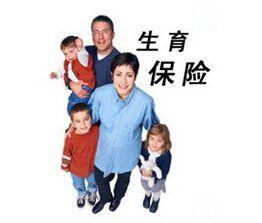 商業生育保險 商業生育保險