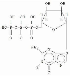 三磷酸鳥苷 三磷酸鳥苷