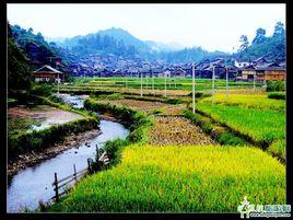 小黃侗寨 小黃侗寨