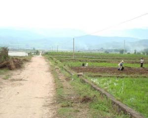 遷東自然村 遷東自然村