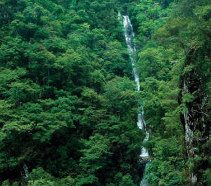 碧湖潭國家森林公園