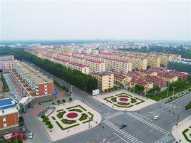 大王鎮[山西省芮城縣大王鎮]