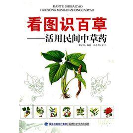 看圖識百草活用民間中草藥 看圖識百草活用民間中草藥