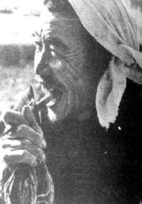 《與災難調情》 《與災難調情》