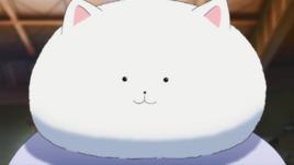 提比[請問您今天要來點兔子嗎？中的角色]