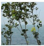 沿海城市 沿海城市