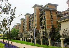 洋豐聖喬維斯 洋豐聖喬維斯