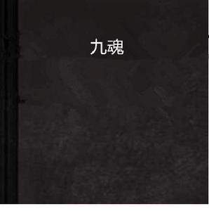 九魂