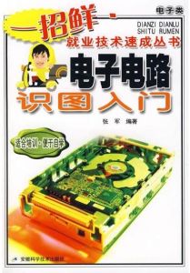 電子電路識圖入門 電子電路識圖入門