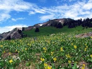 調和山脈 調和山脈