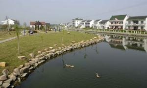 （圖）林埭鎮保豐村