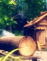 蒹葭蒼蒼白露為霜 蒹葭蒼蒼白露為霜