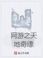 網遊之天地奇緣 網遊之天地奇緣