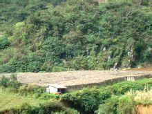 新回龍村 新回龍村