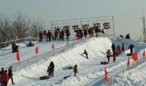 東方樂園冰雪節 東方樂園冰雪節