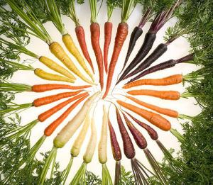 各種顏色的胡蘿蔔。白色和淡黃色胡蘿蔔β胡蘿蔔素含量較低，而紅色或者紫色來自花青素等其他色素。市場上常見的橙色，紅色和紫色胡蘿蔔β胡蘿蔔素含量相差不多。
