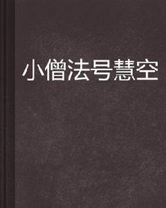 小僧法號慧空 小僧法號慧空