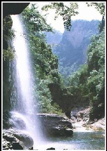 好森溝國家森林公園