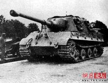 獵虎[一種哺乳動物]