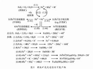 酸性硫酸鹽土 酸性硫酸鹽土