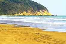 金沙灘[巴音郭楞金沙灘]