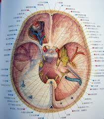 竇性停頓 竇性停頓