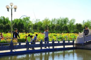 楊侍生態園 楊侍生態園