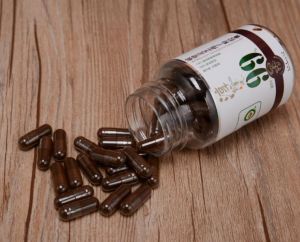 銀芝牌破壁靈芝孢子粉膠囊