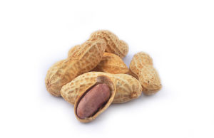 生花生的營養價值