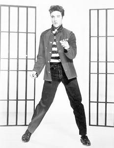 “貓王”埃爾維斯·普雷斯利