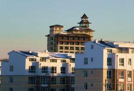 新城鎮[河北省高碑店市新城鎮]