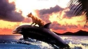 吉雅絲和羅克珊