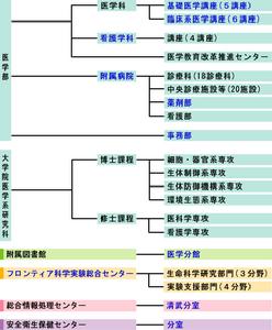 宮崎醫科大學（圖）組織結構圖