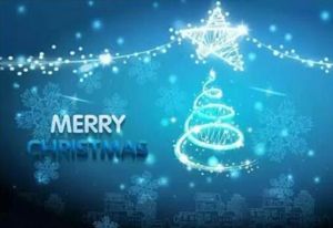 聖誕晚會 聖誕晚會