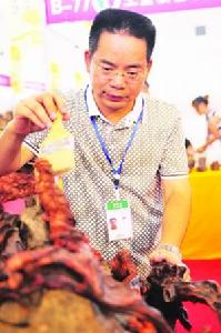 王寶生[根雕藝術家]